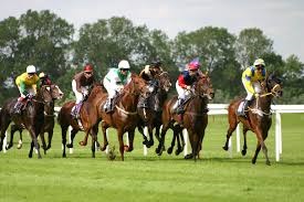 Members & Guests Race Day August 2023